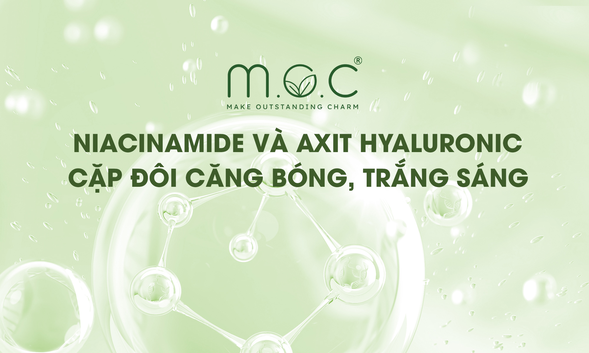 cong-dung-niacinamide-axit-hyaluronic