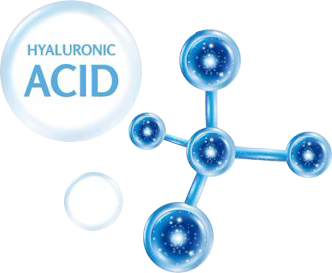 Acid Hydrocloric (HA)