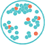 Alpha-Glucan Oligosaccharide