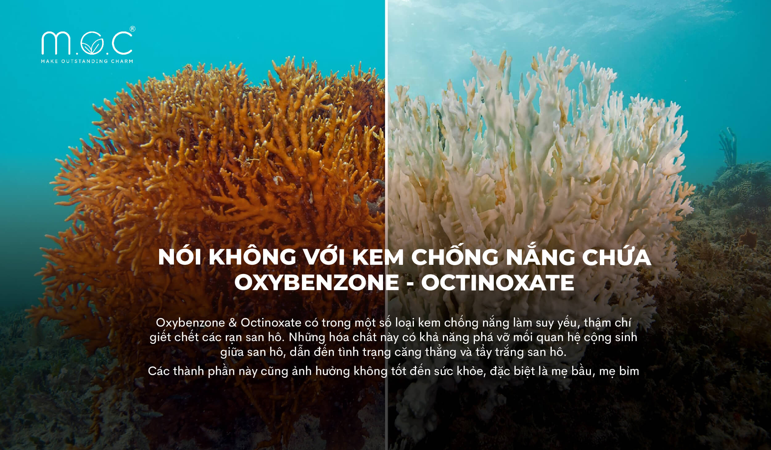 Ưu tiên kem chống nắng không chứa oxybenzone tránh gây hại rạn san hô và môi trường biển