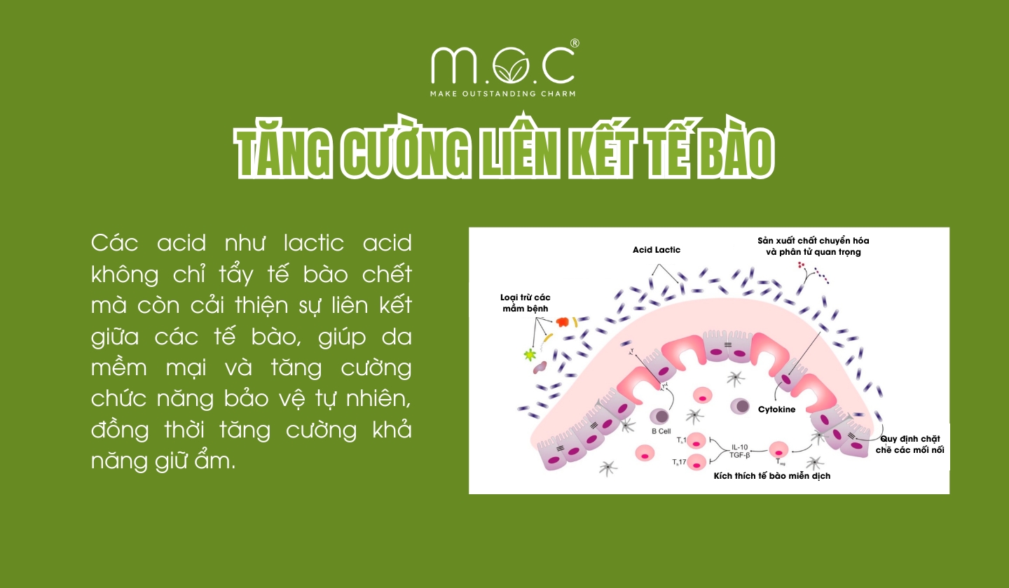 Một số acid tẩy tế bào chết giúp tăng cường liên kết các tế bào