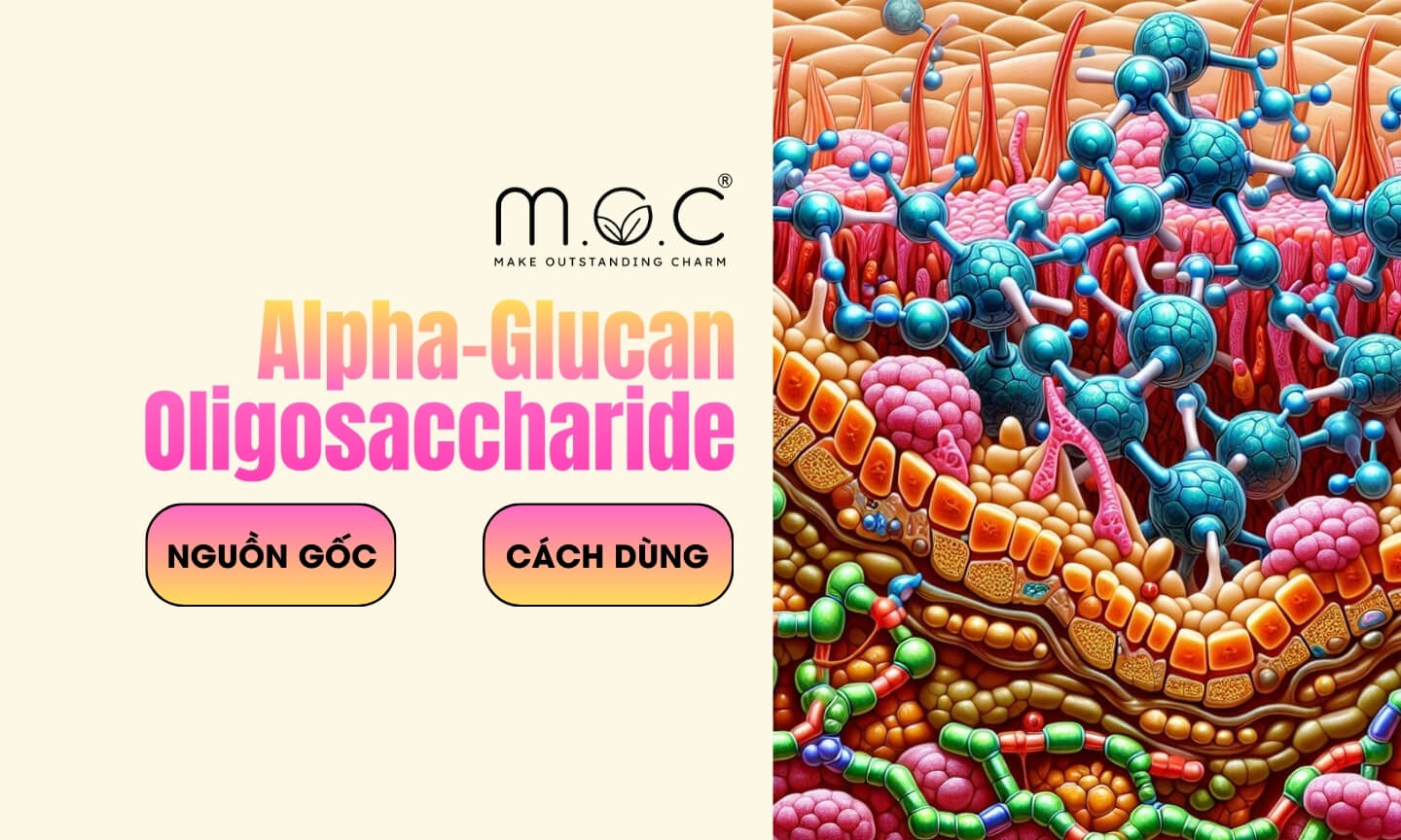 Alpha-Glucan Oligosaccharide