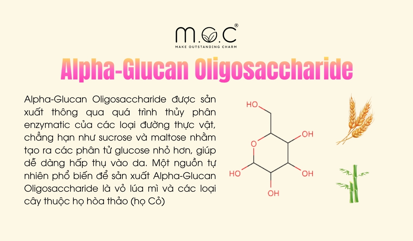 Alpha-Glucan Oligosaccharide là gì?