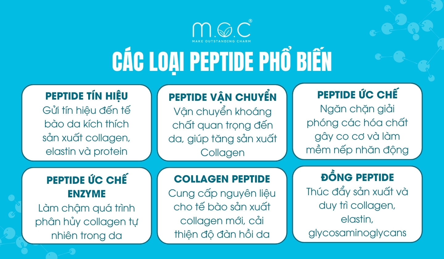 Các loại peptide phổ biến