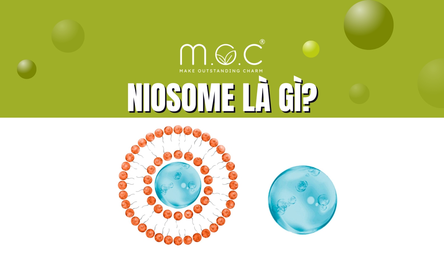 Chăm sóc da với Niosome