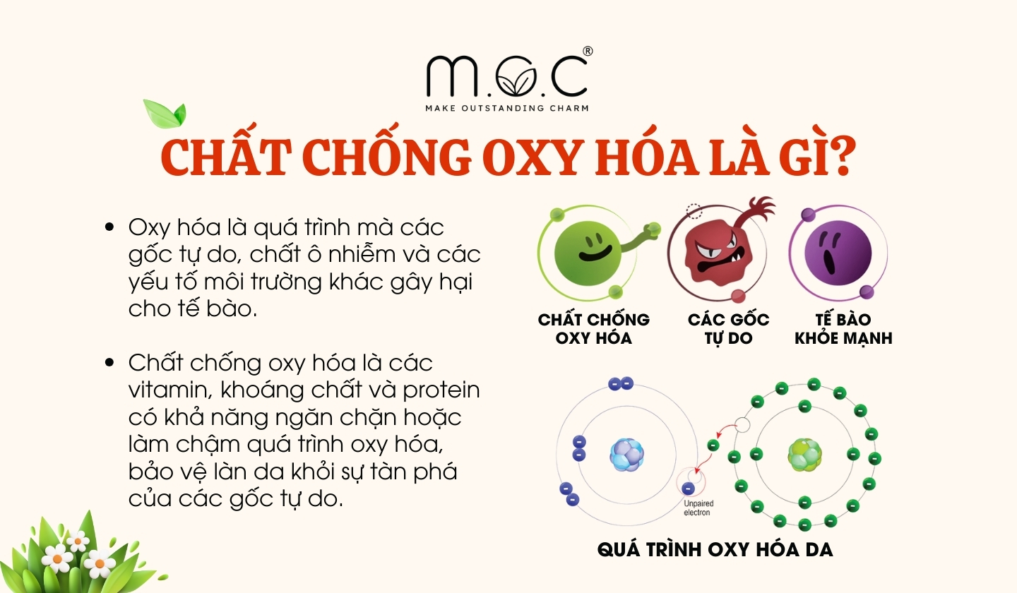 Chất chống oxy hóa là gì?