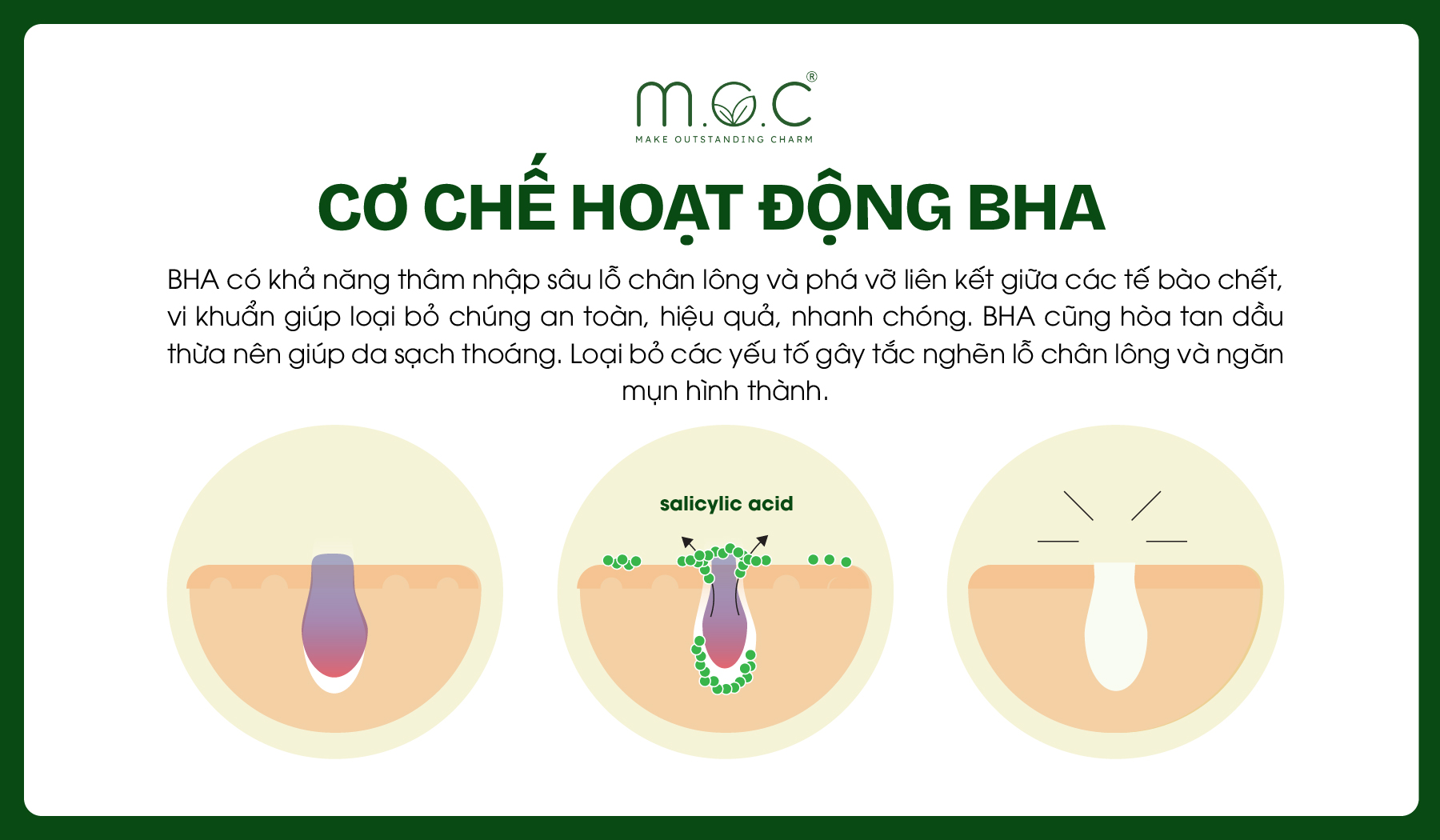 Cơ chế hoạt động của BHA