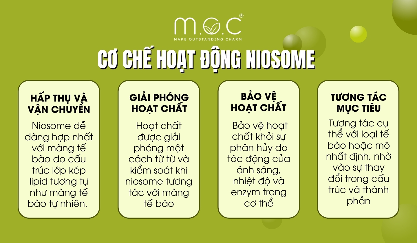 Cơ chế hoạt động của Niosome