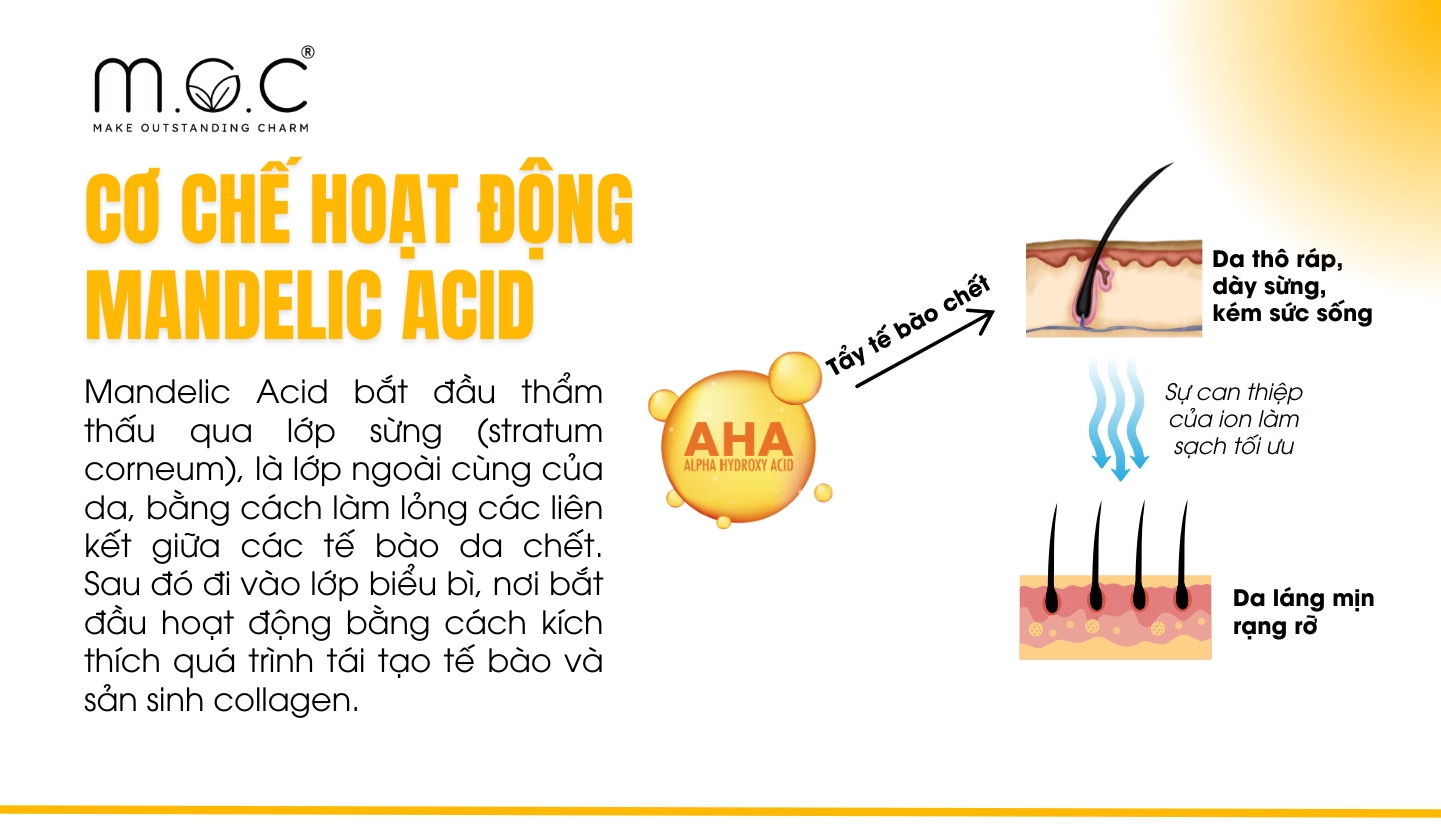 Cơ chế hoạt động của Mandelic Acid