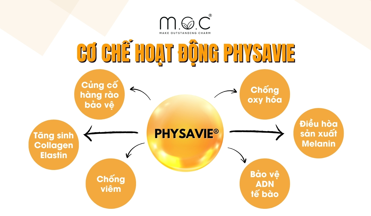 Cơ chế hoạt động của Physavie