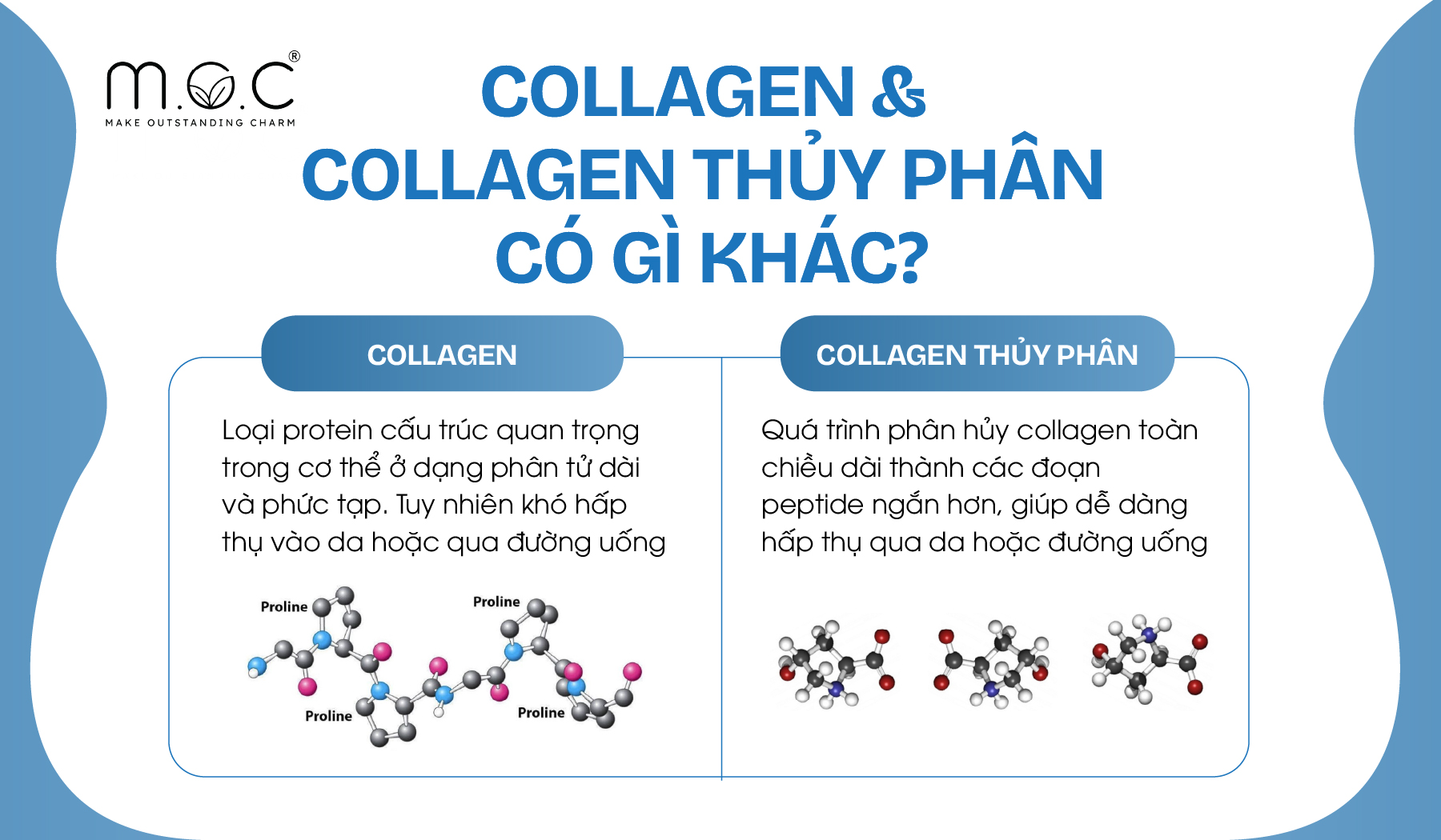 Collagen và Collagen thủy phân có gì khác?