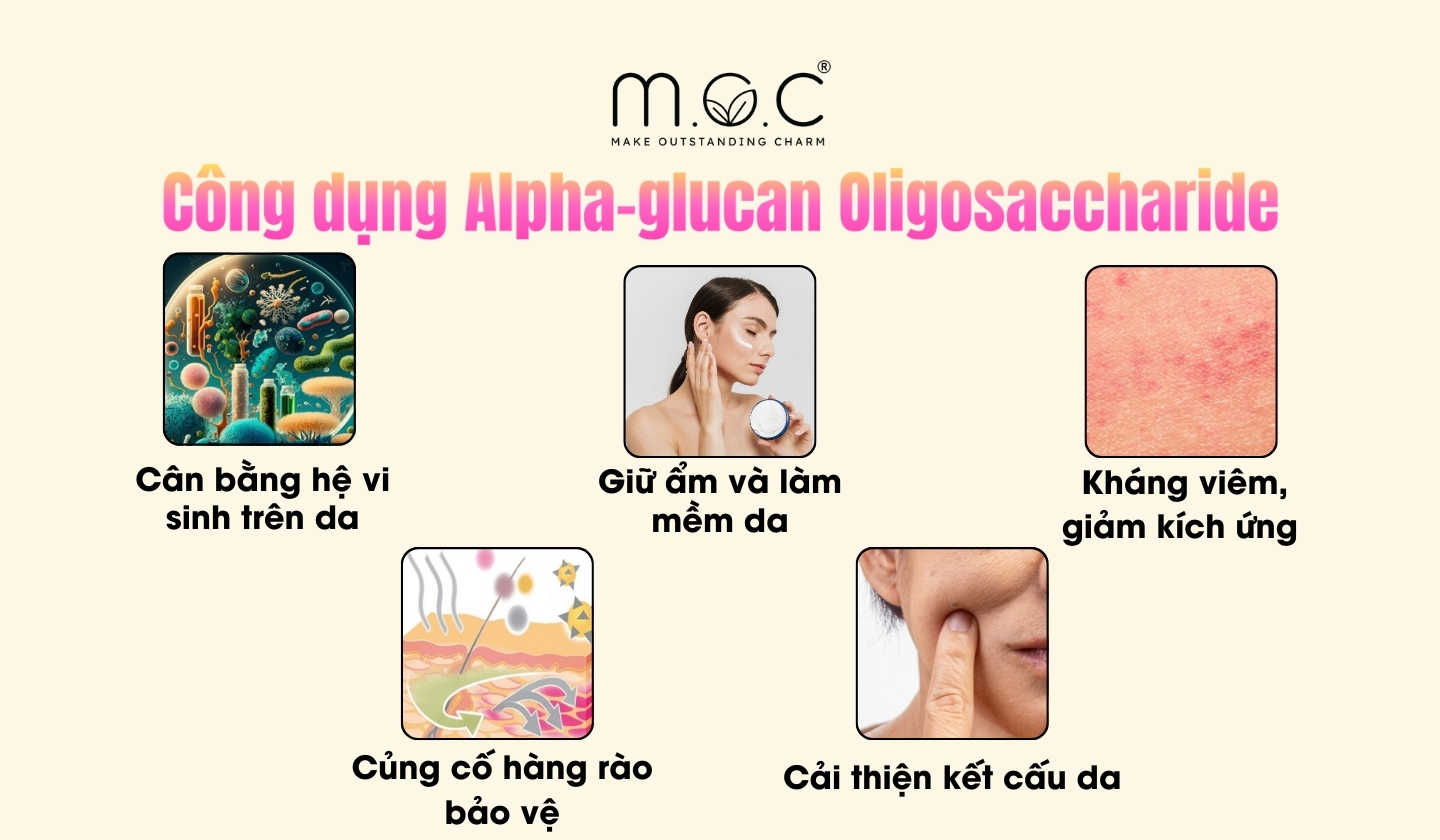 Công dụng nổi bật của Alpha-Glucan Oligosaccharide