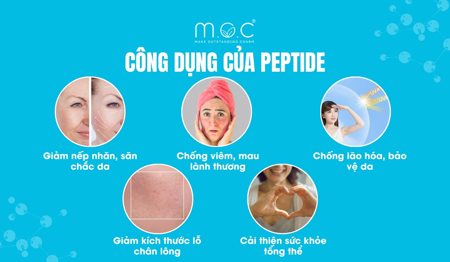 Các công dụng nổi bật của peptide