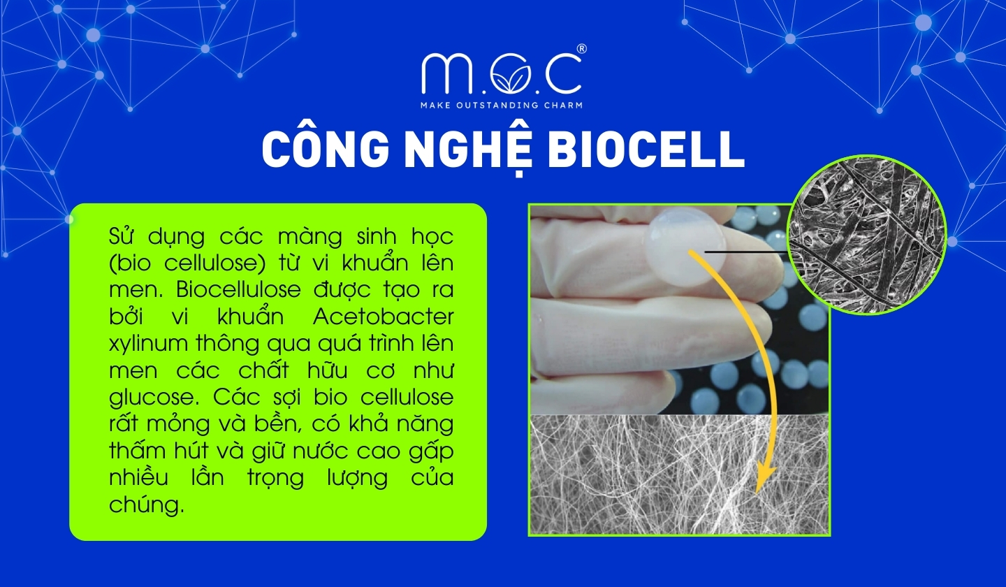 Công nghệ Biocell trong mỹ phẩm được ứng dụng ra sao?