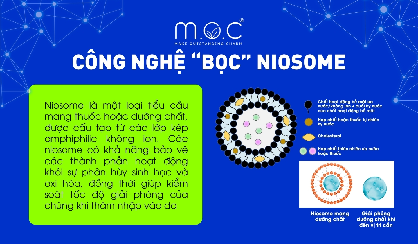 Công nghệ Niosome trong mỹ phẩm được ứng dụng ra sao?