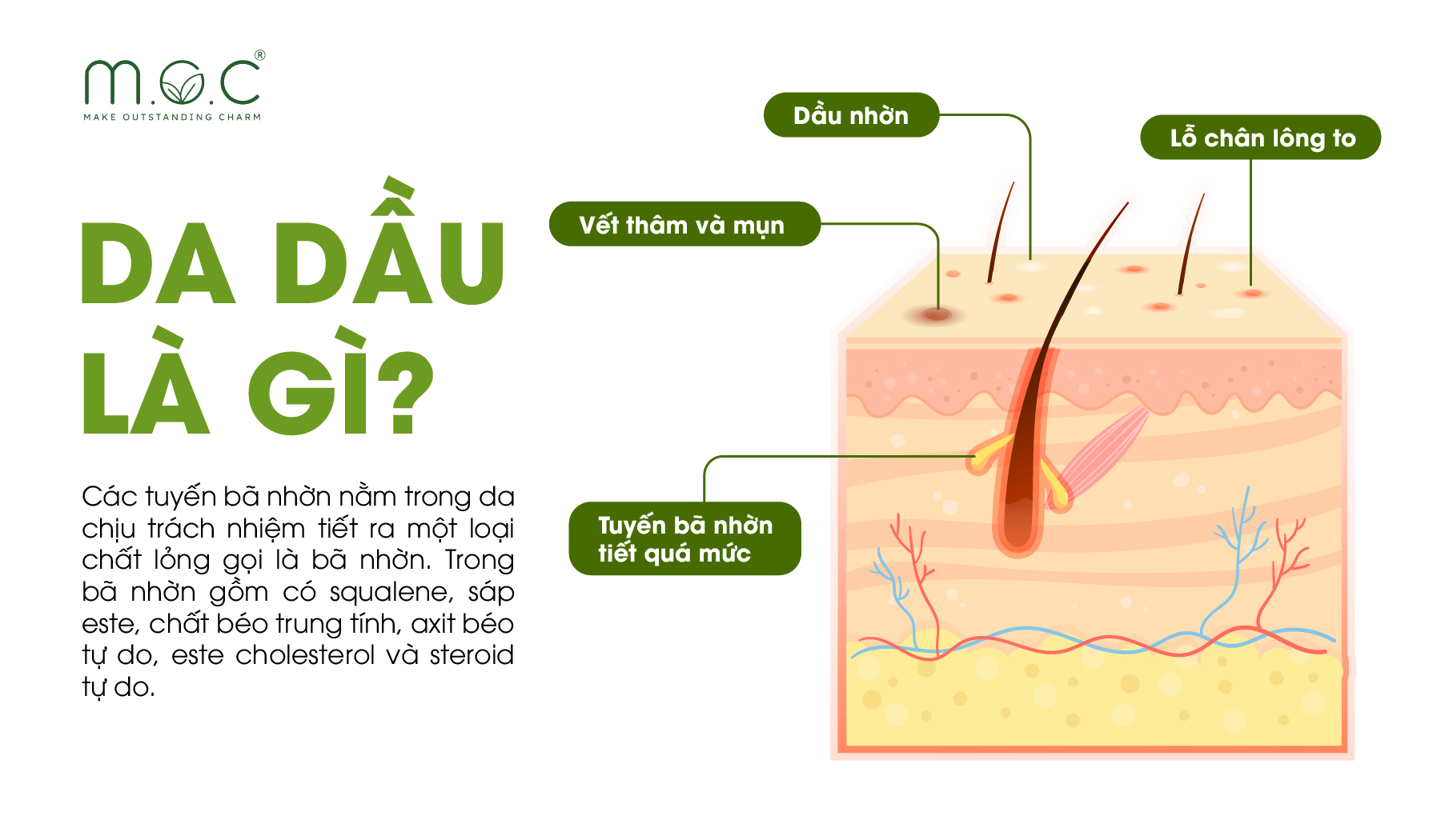 Da dầu là gì?