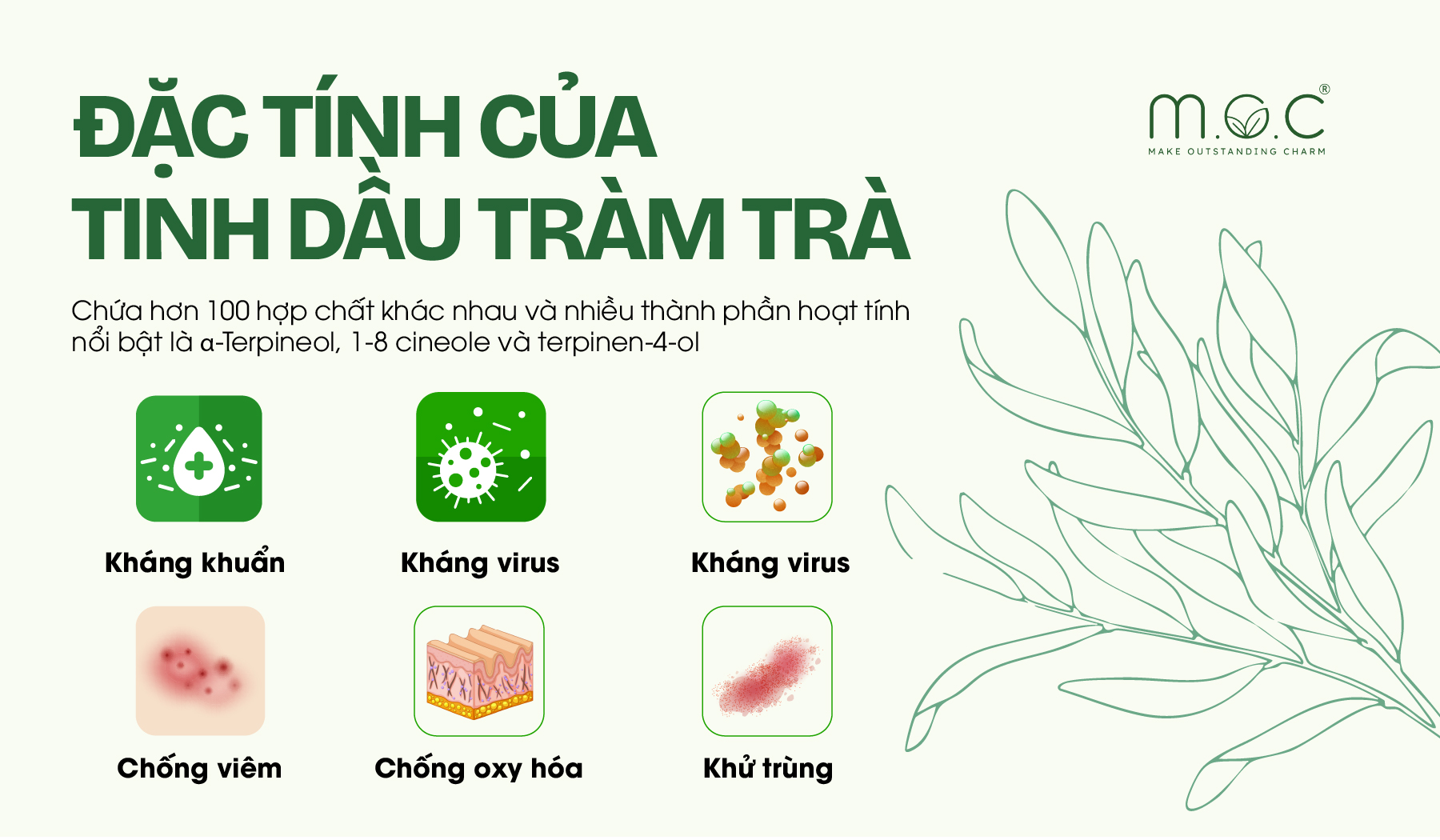 Các đặc tính của tinh dầu tràm trà