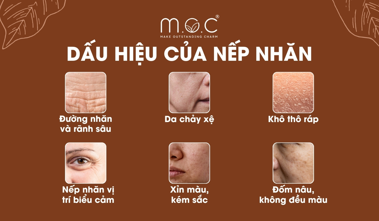 Những dấu hiệu da lão hóa