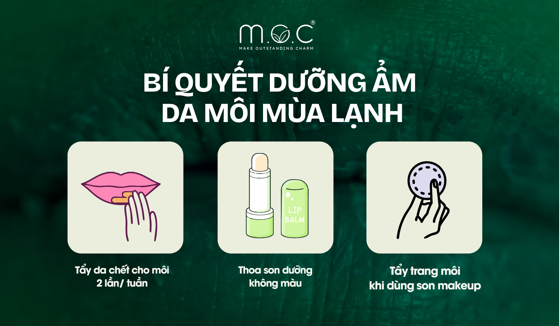 Bí quyết dưỡng ẩm da môi mùa hanh khô