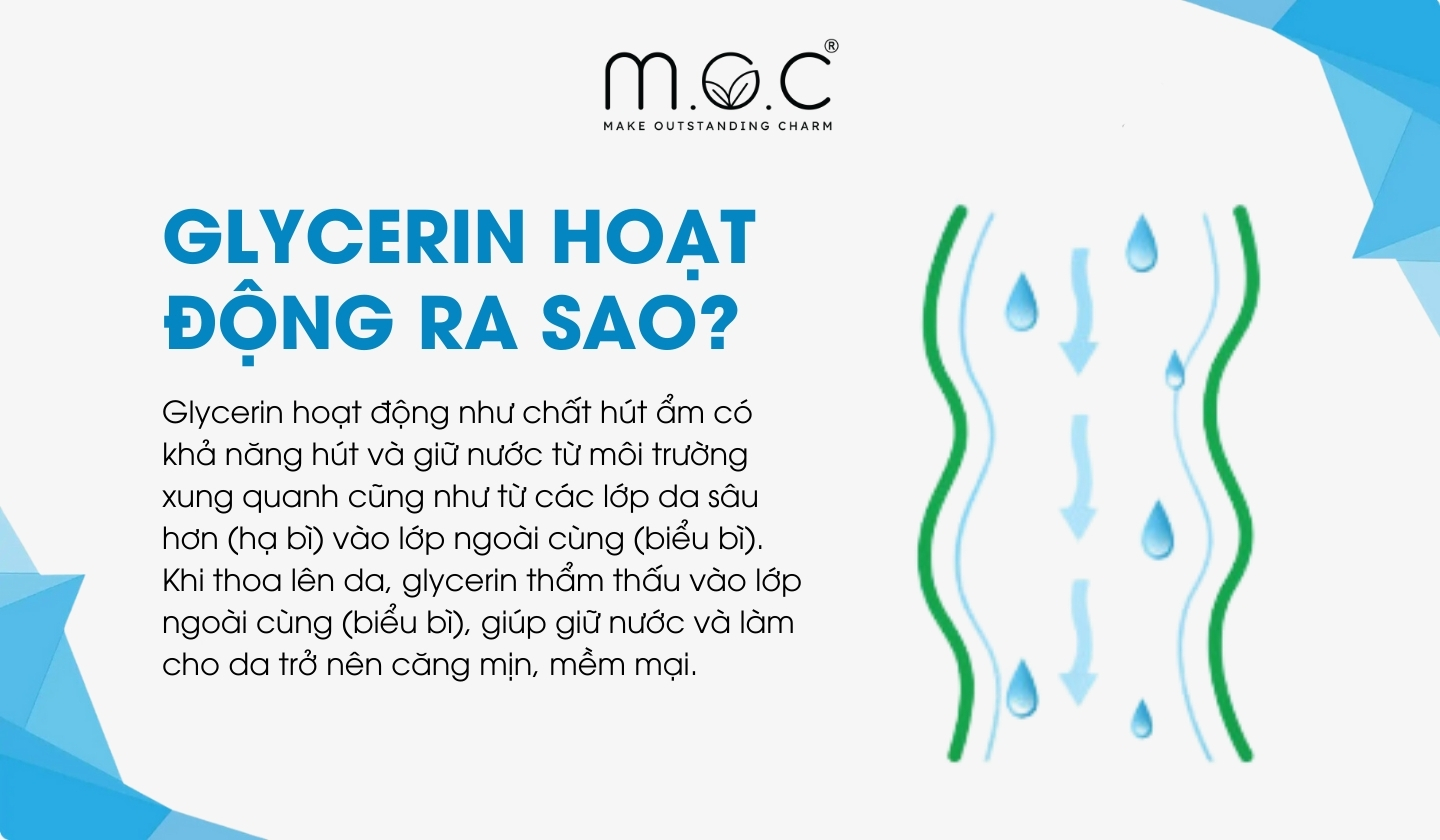 Cơ chế hoạt động của Glycerin