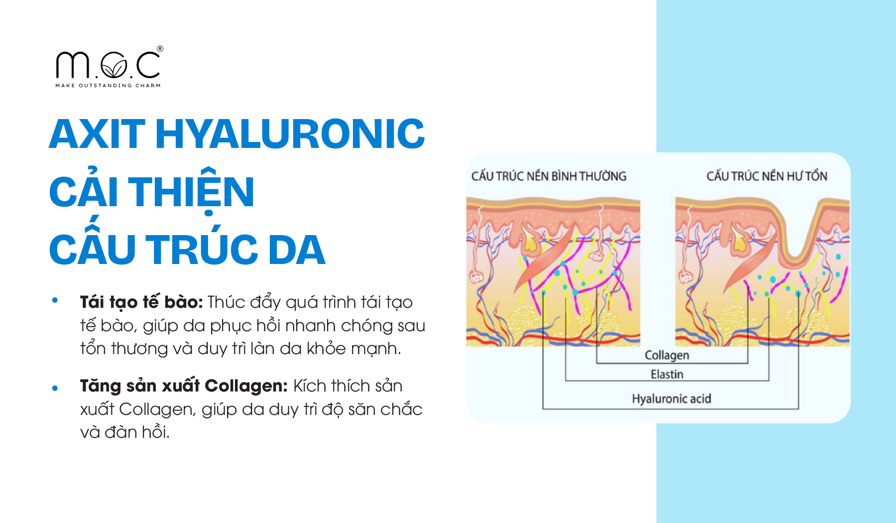 Hyaluronic Acid cải thiện cấu trúc da ra sao?