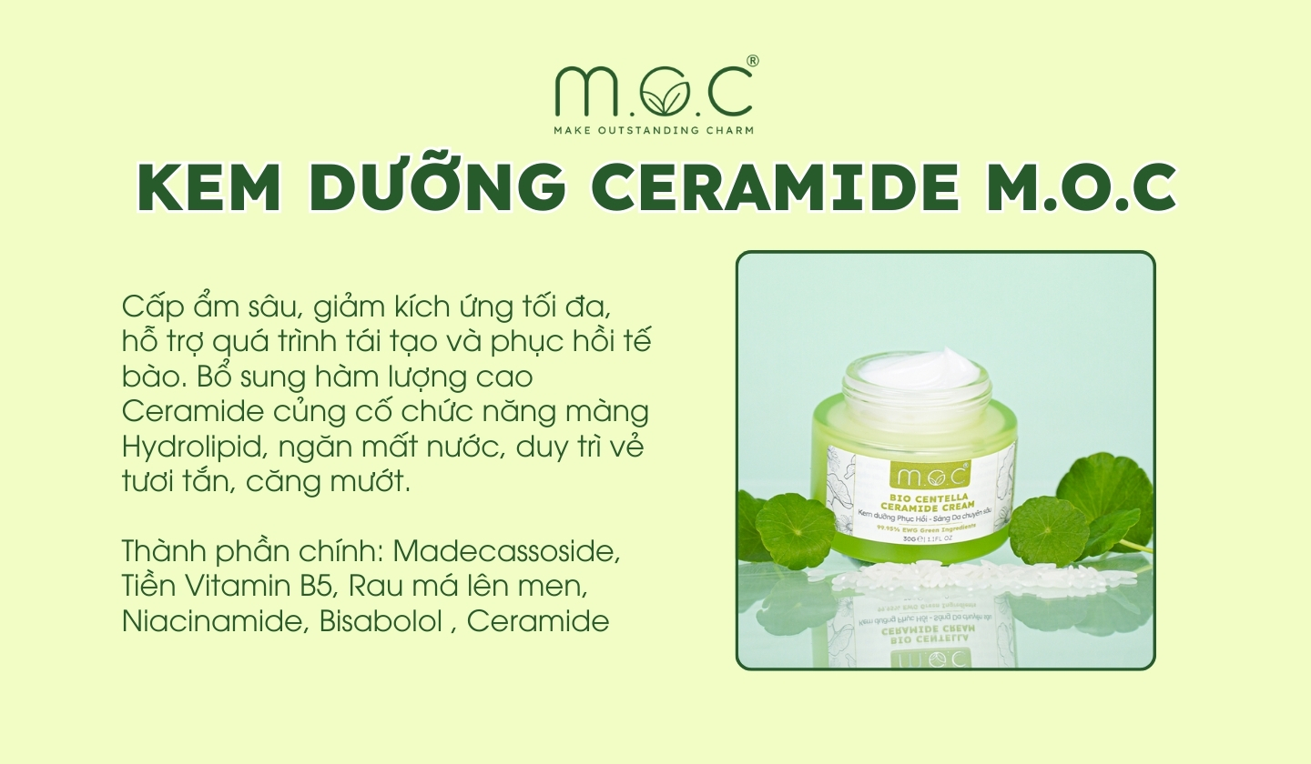 Kem dưỡng ẩm Ceramide M.O.C dịu da, mềm mại và dưỡng ẩm hiệu quả