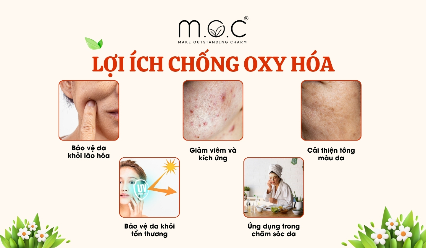 Các lợi ích của chất chống oxy hóa