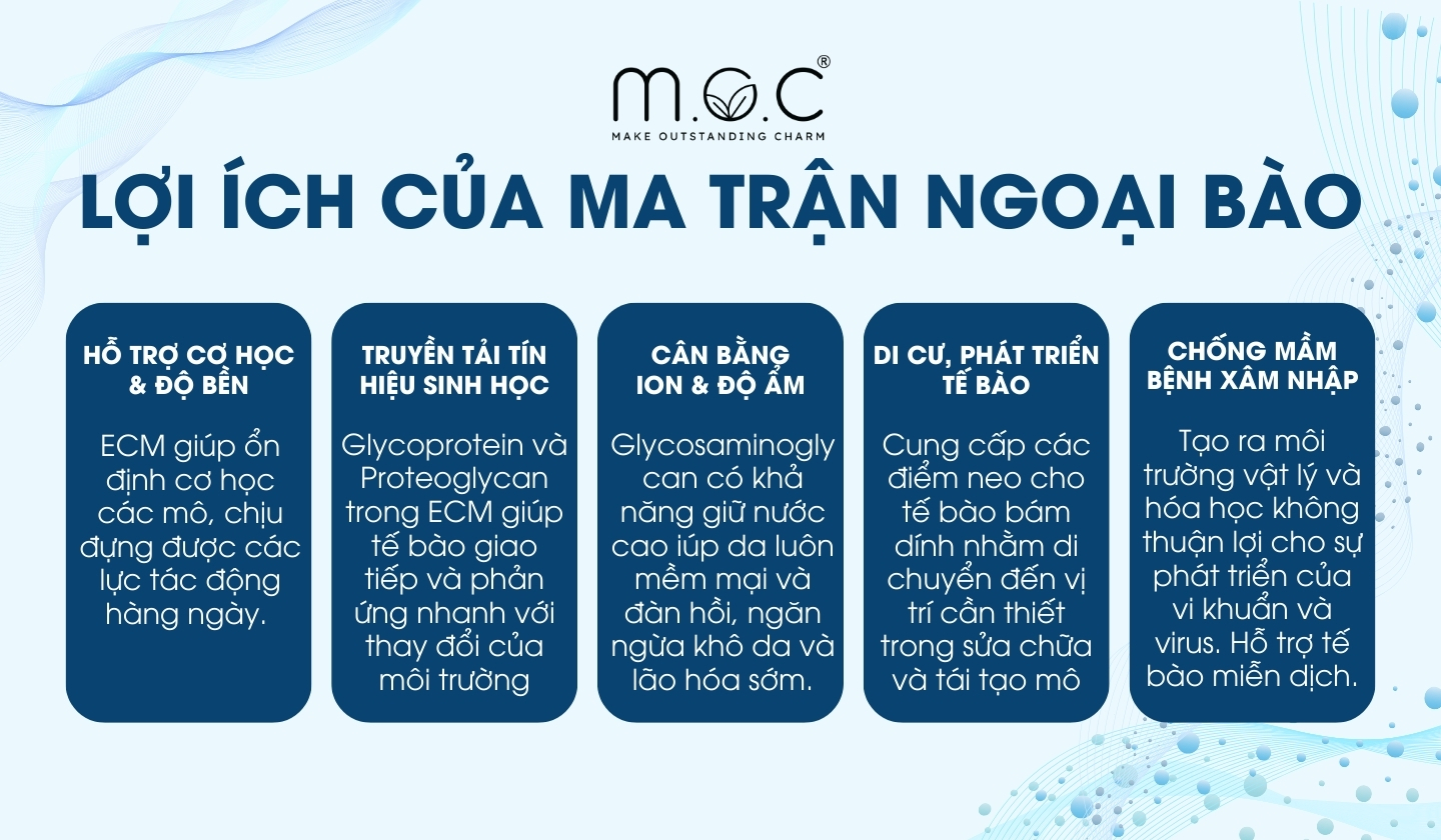 Lợi ích nổi bật của ma trận nội bào