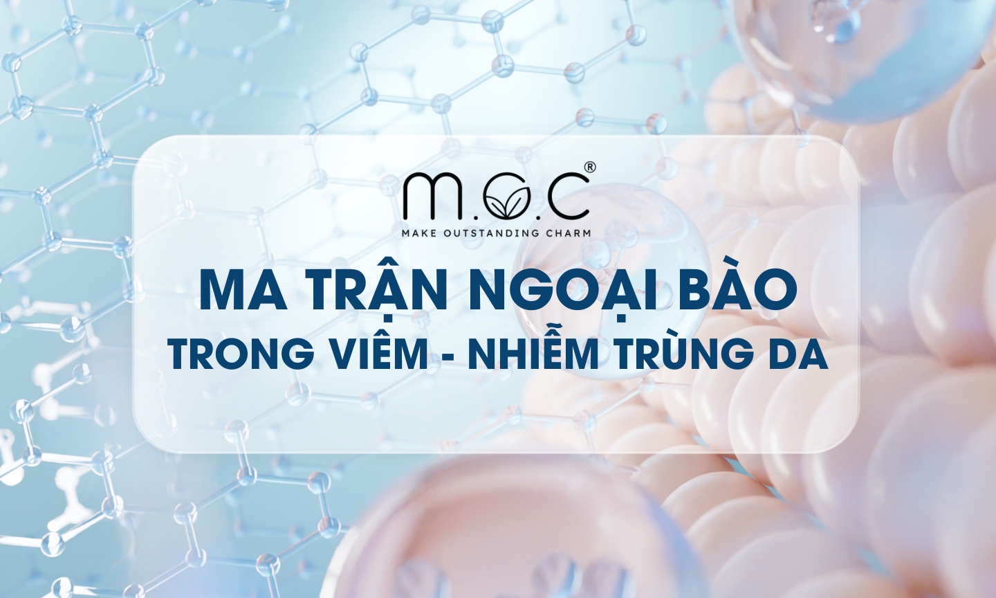 Ma trận ngoại bào