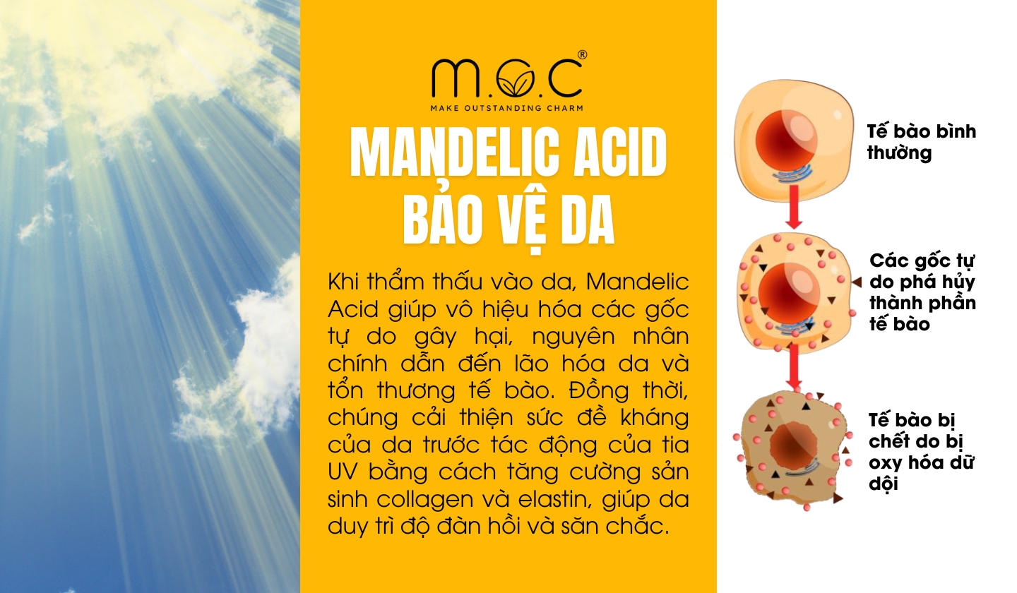 Mandelic Acid giúp bảo vệ da ra sao?