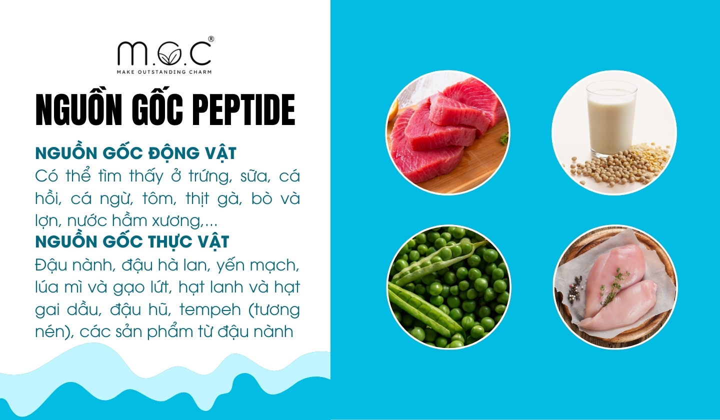 Nguồn gốc peptide từ động vật, thực vật