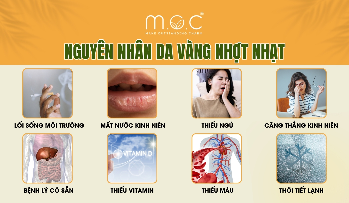 Nguyên nhân da vàng nhợt nhạt, thiếu sức sống