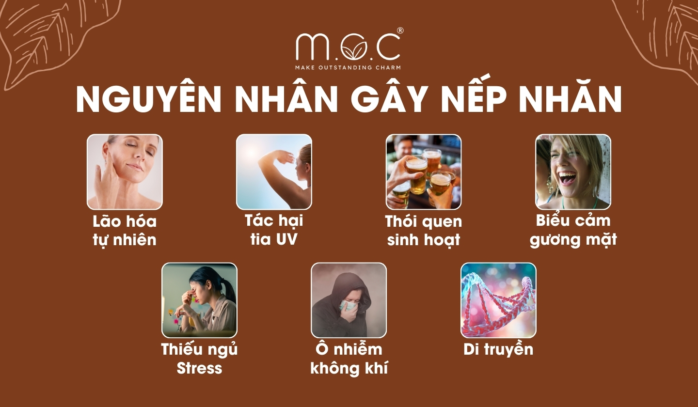 Nguyên nhân hình thành nếp nhăn