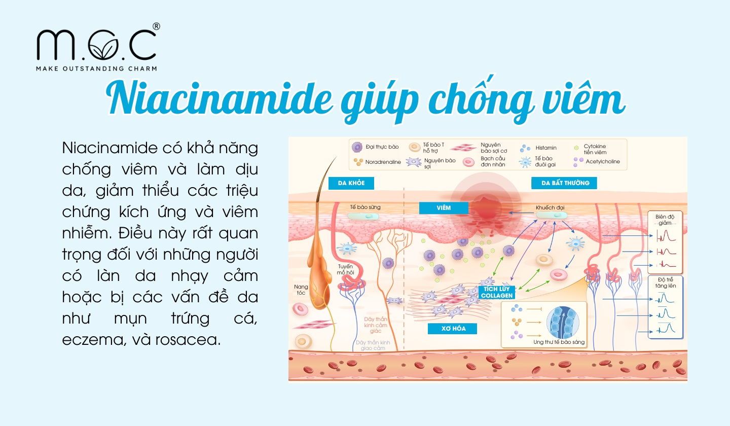 Niacinamide có khả năng chống viêm, dịu da