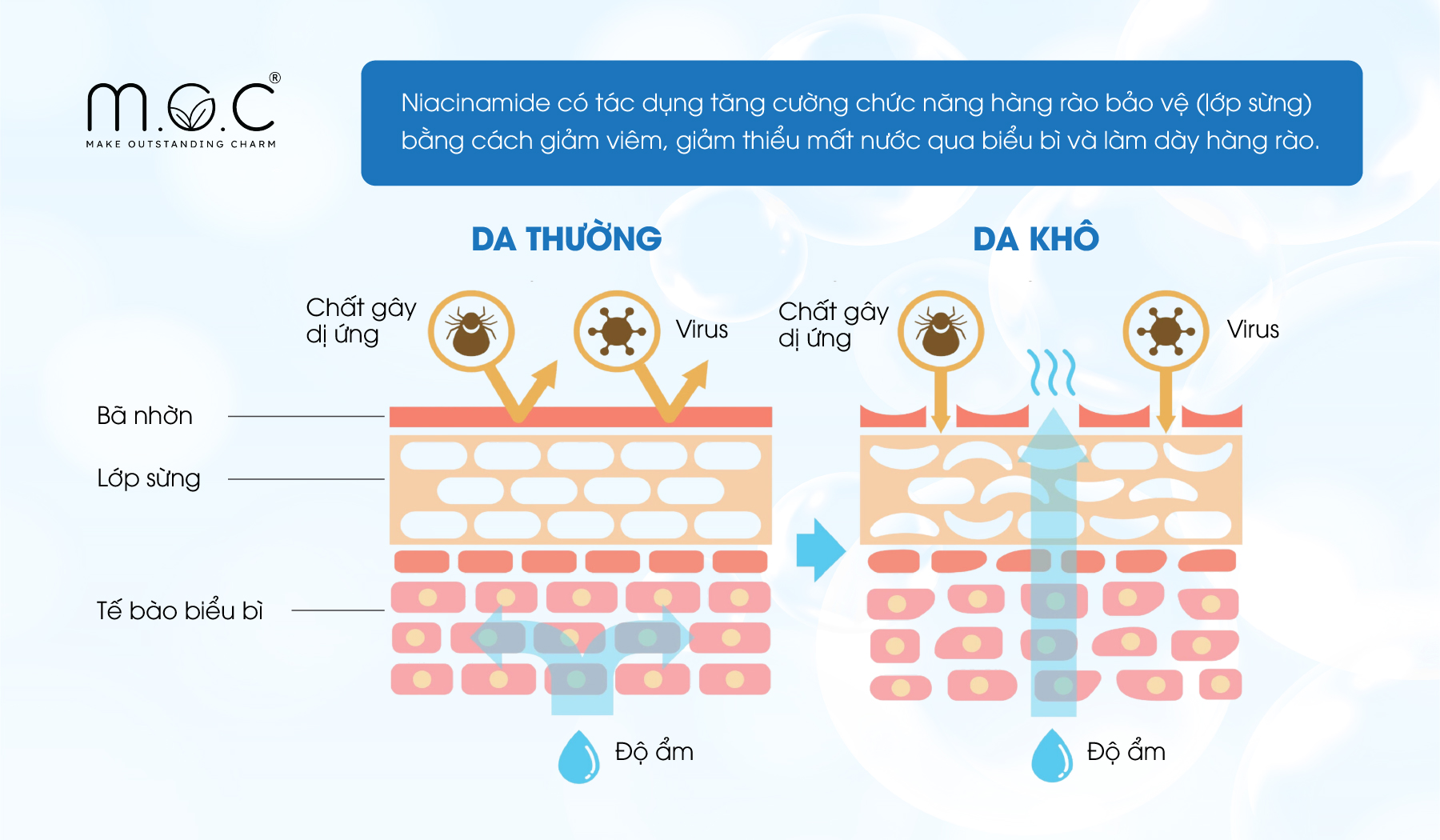 Niacinamide khả năng chống viêm, dịu da