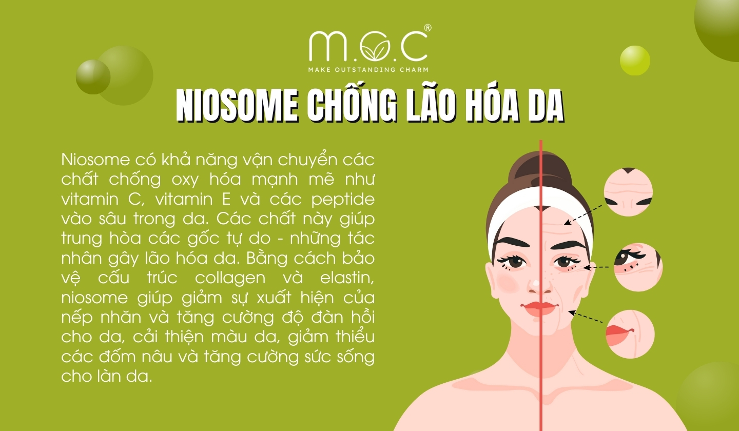 Niosome giúp chống lão hóa da