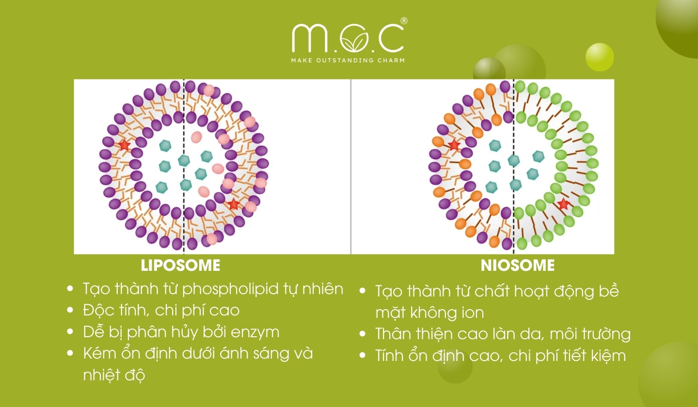 Sự khác nhau của Niosome vs Liposome