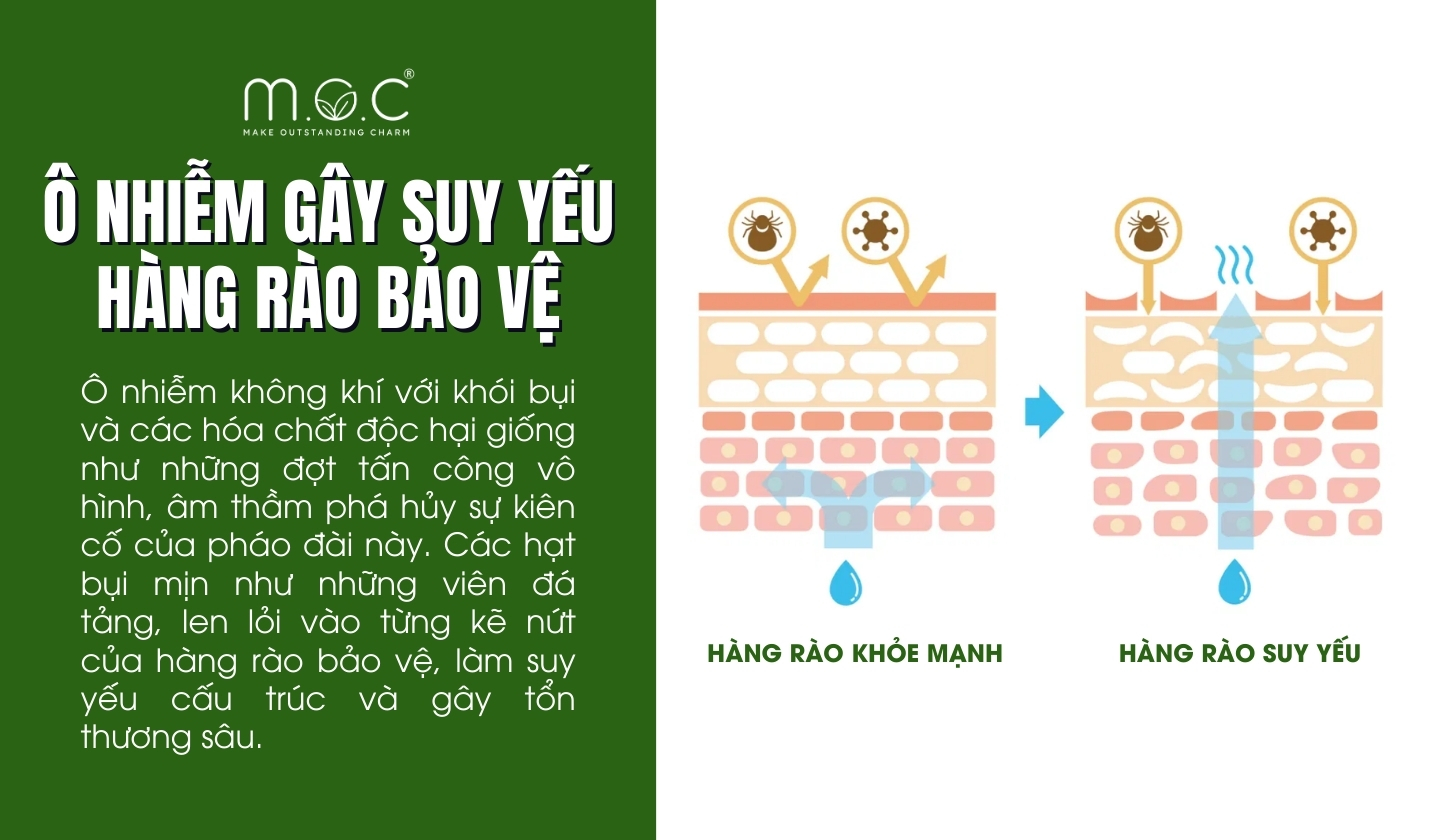 Ô nhiễm không khí làm suy yếu hàng rào bảo vệ da