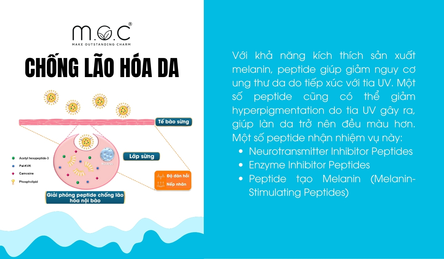 Peptide giúp chống lão hóa, giảm nếp nhăn cho da