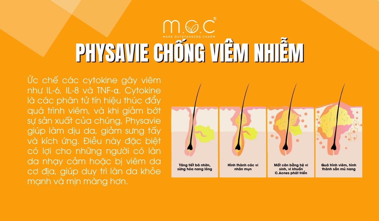 Physavie chống viêm nhiễm ra sao?