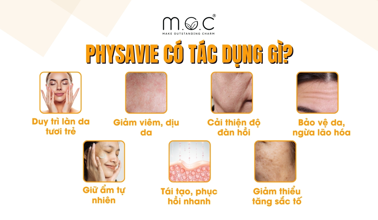 Physavie có tác dụng gì?