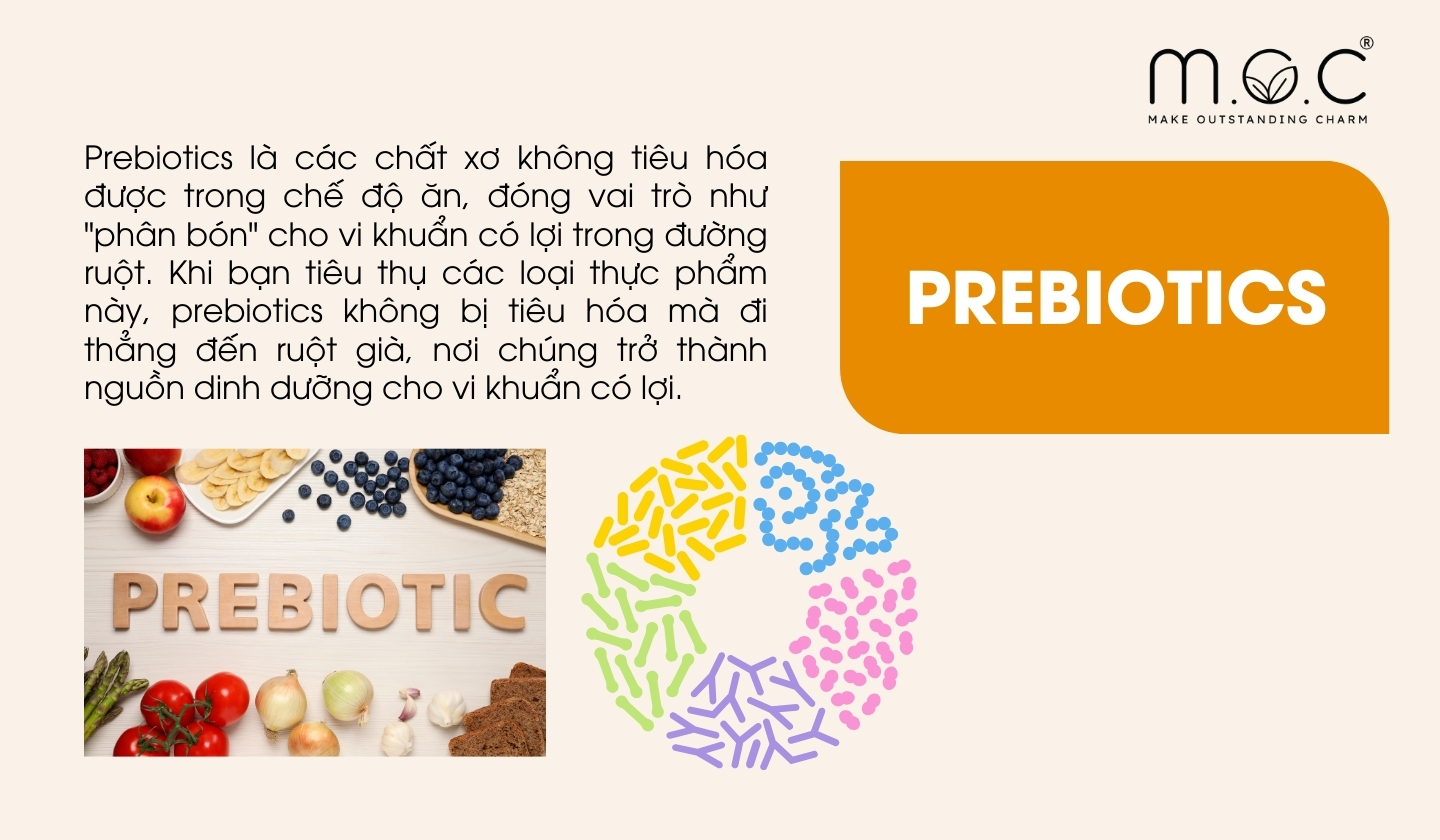 Prebiotics là gì?