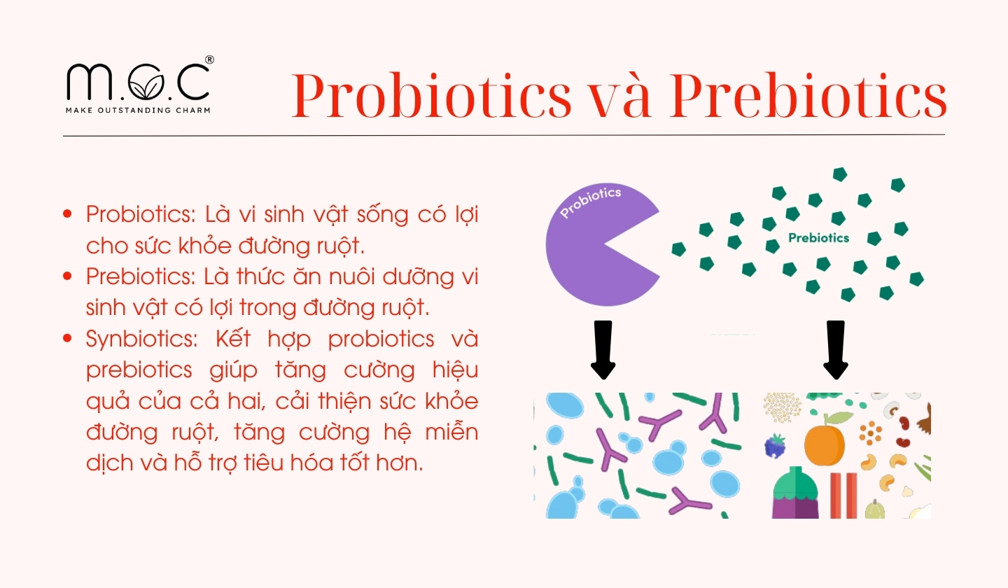 Sự khác biệt của Probiotics và Prebiotics