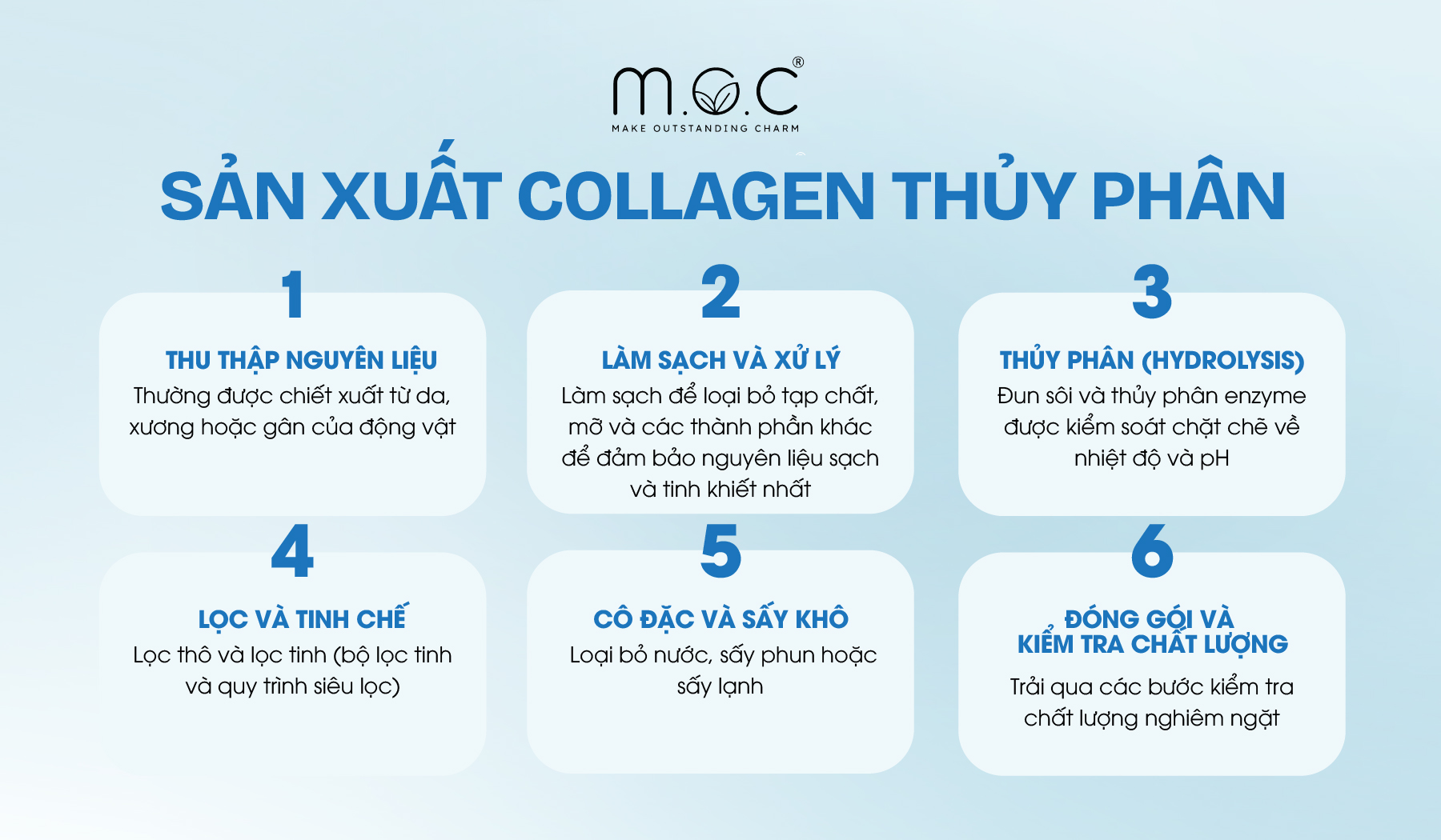 Quy trình tham khảo sản xuất Collagen thủy phân