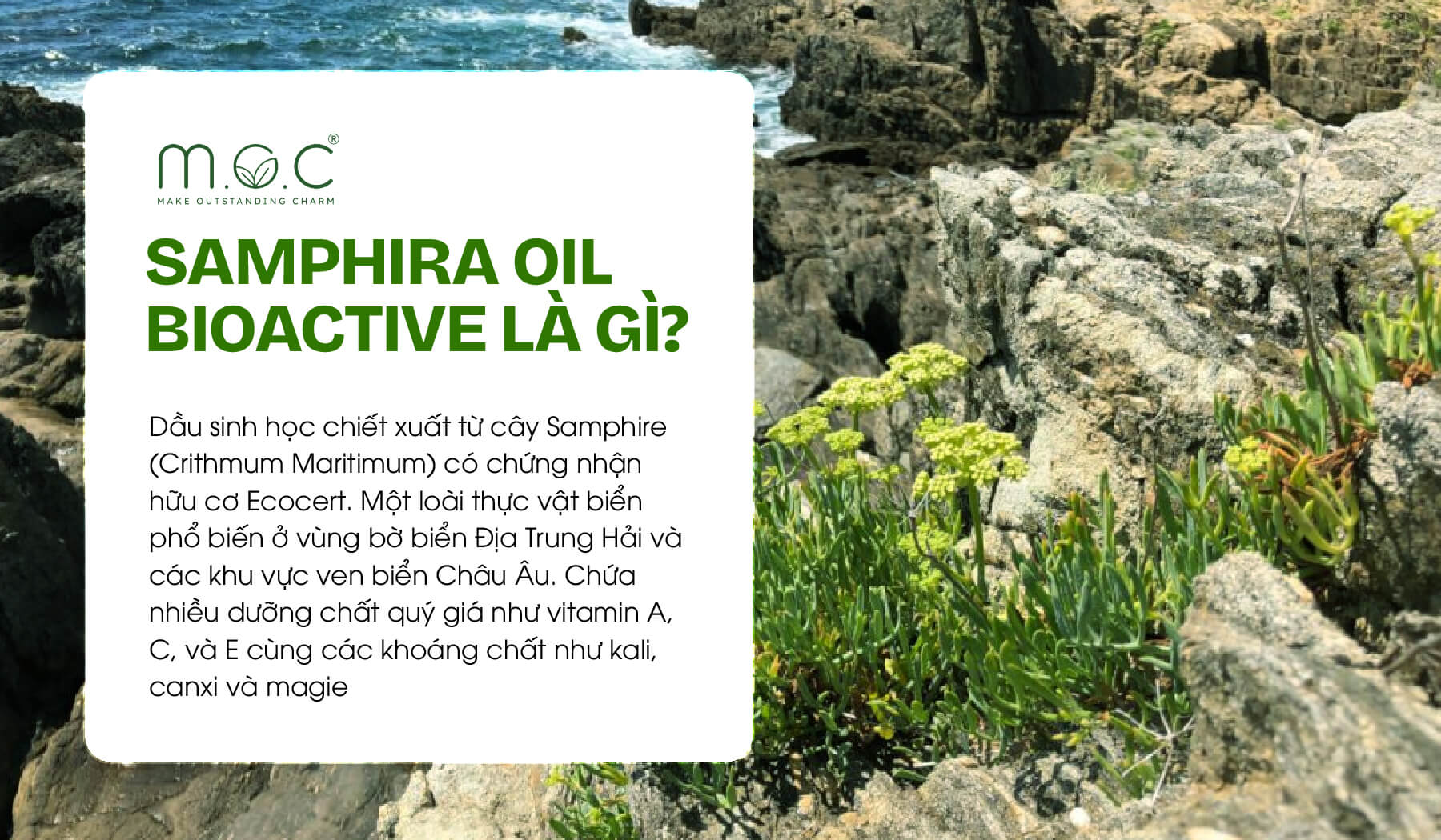 Samphira Oil Bioactive là gì?