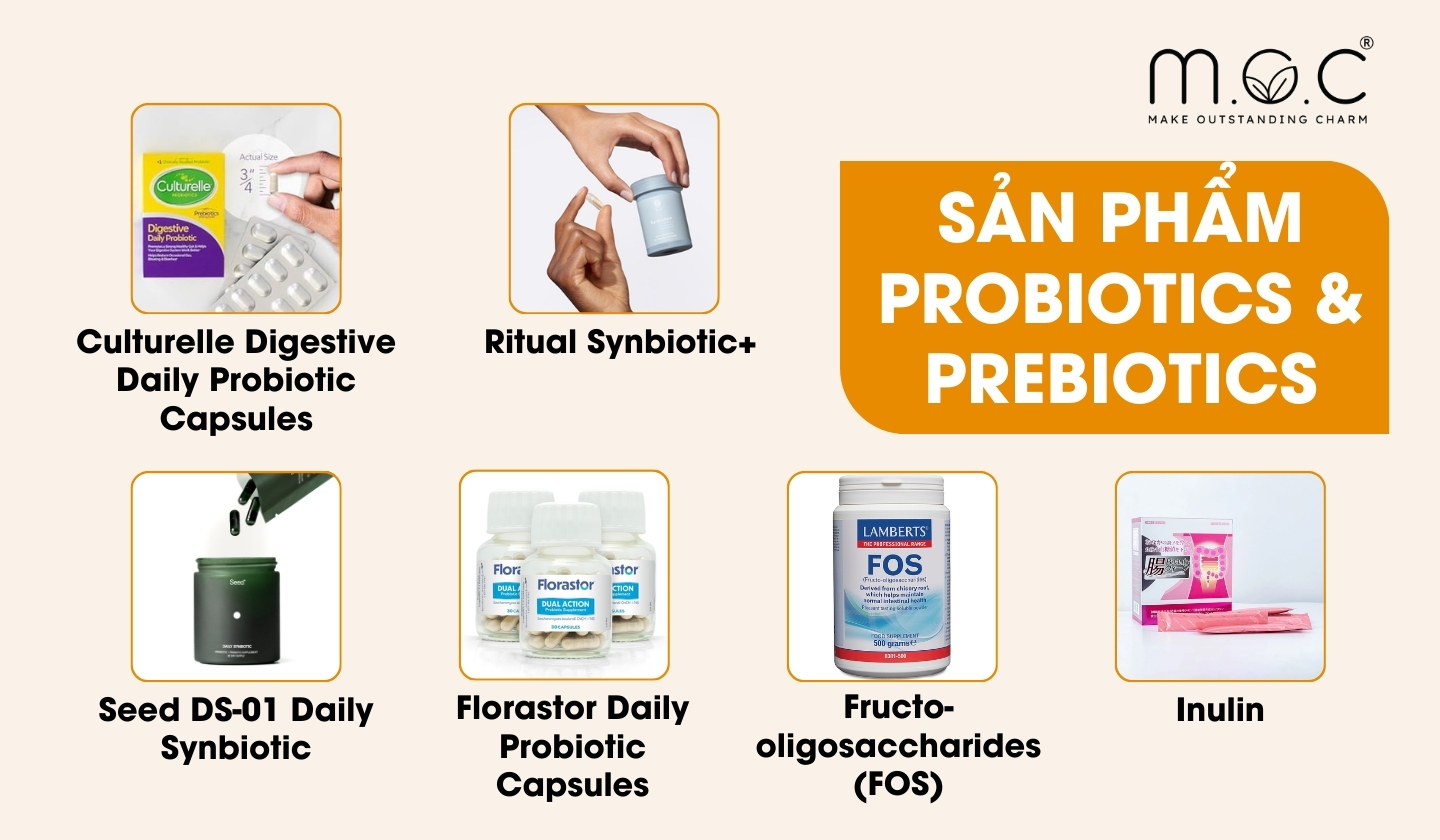 Gợi ý sản phẩm chứa Probiotics và Prebiotics