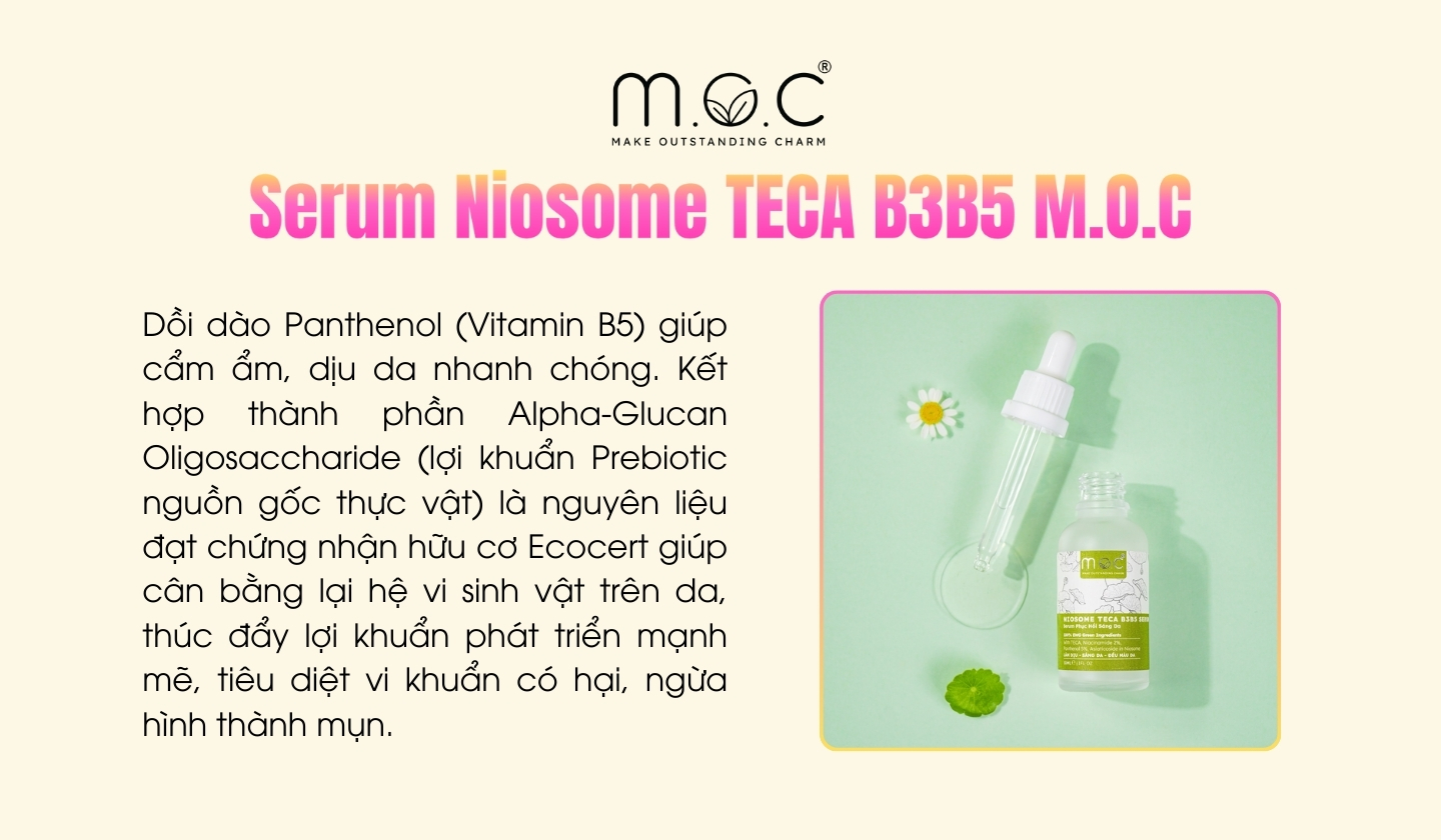 Serum Niosome TECA B3B5 M.O.C