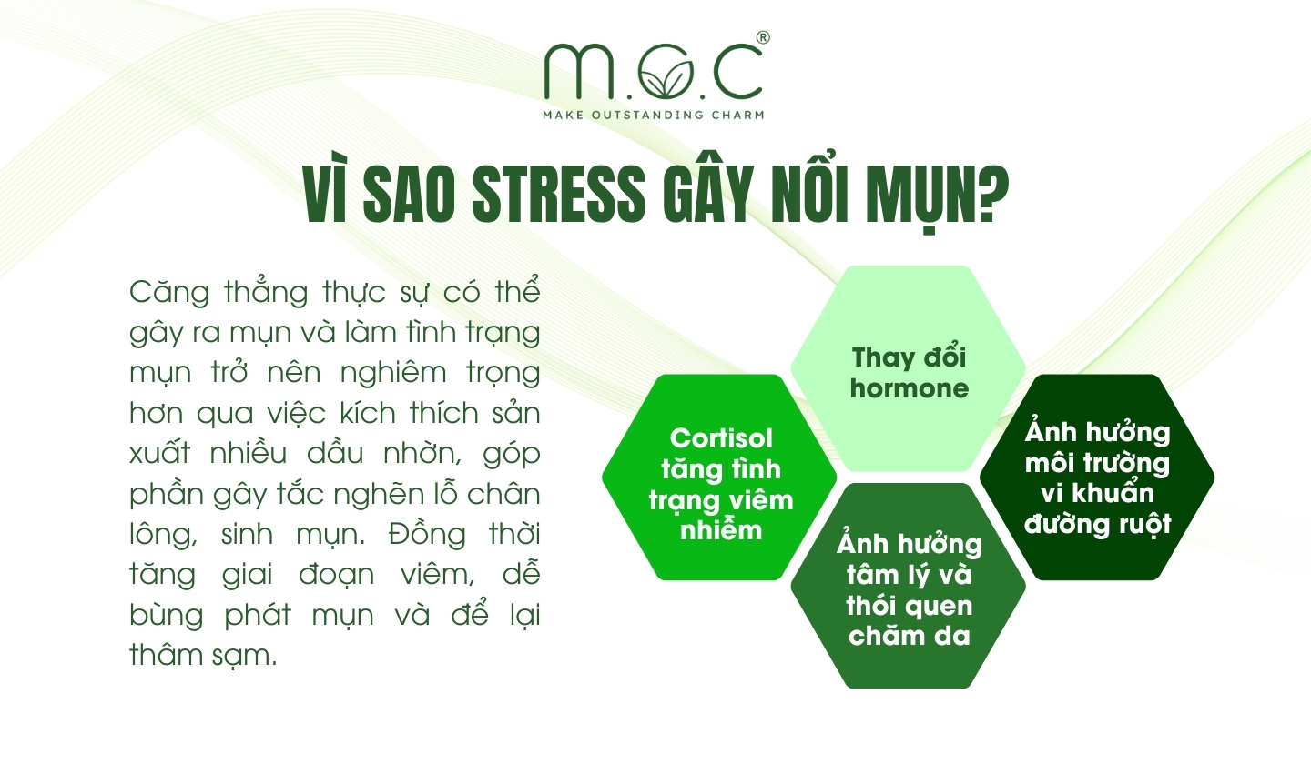 Vì sao stress gây nổi mụn?