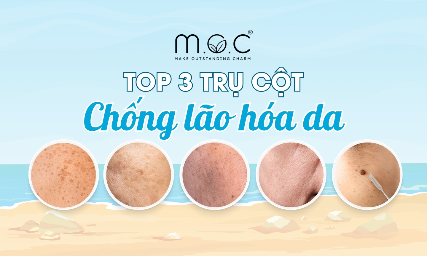 Thành phần chống lão hóa