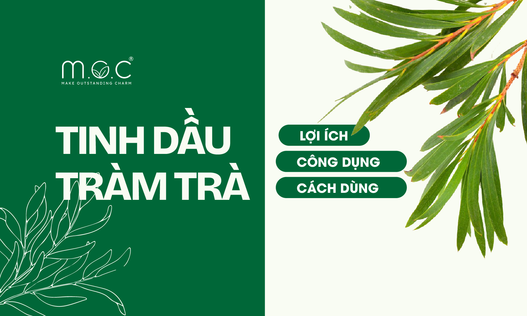 Tinh dầu tràm trà